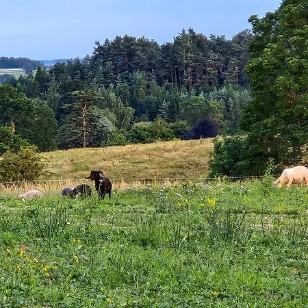 Mickledale At Wetheral * Great Salkeld